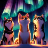 AuroraPaws