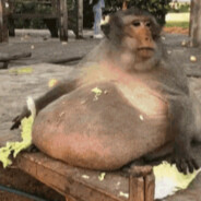 monke