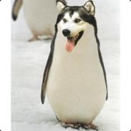 BlackSnowWolf