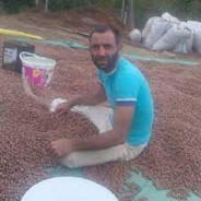 FINDIK MEMATİ