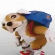 perrito chacarron macarron