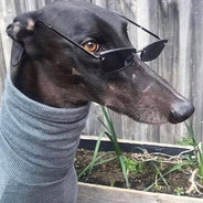 Dogamin