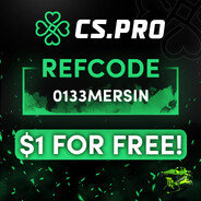 BayMermi CS.army CSGOSKINS
