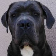 Jack