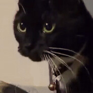Zia