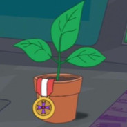 ThatGreenPlant