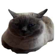 no