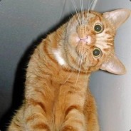 Alexbogs