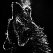 Wolf_7