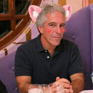 Epstein rule34