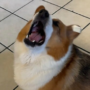 MMAAAAAAAAMM