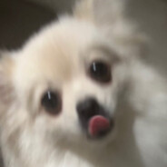 Vyrus