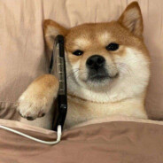 B o o n Y e n
