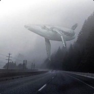 Animal the sky