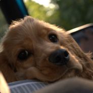 Steam profile picture for @cheekbones