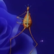 sibop