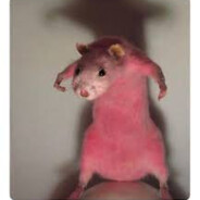 Pasca