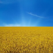 КерріПоттер