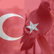 GüvercinSüzülmesi