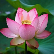 难道你就没有错吗