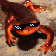 RadicalNewt