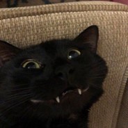 KUKI