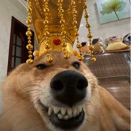 清酒