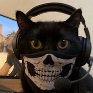 !Gato Preto