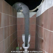 кукарача