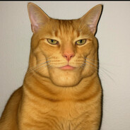 kittymeow