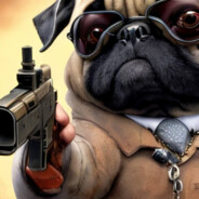 Puggo