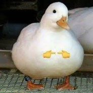 Dairson (Duck Name)