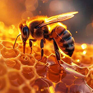 Bee1156