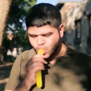 AVSAR
