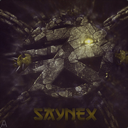 SayNex - Old Acc