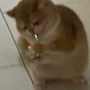 自私和空虛