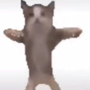 rasupkinaliza4