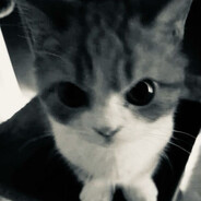Musti