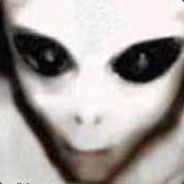Veldar