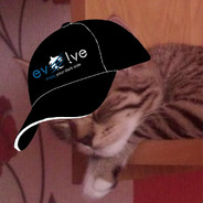 I love sweet cats <3