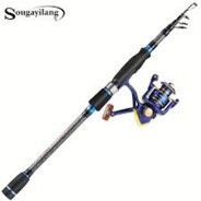 Temu Fishing Rod