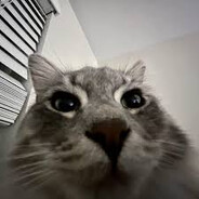 𝙇 𝙀 𝙂 𝙀 𝙉 𝘿