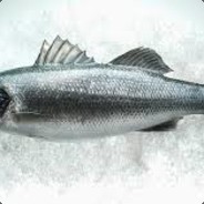 Fun_Levrek