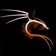 ndude737
