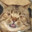 Group Avatar