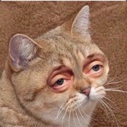FoxL1ke