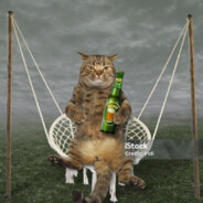 котик