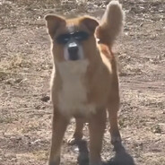Krutoi Dogi4