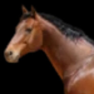 the horse