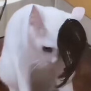 -Kameko